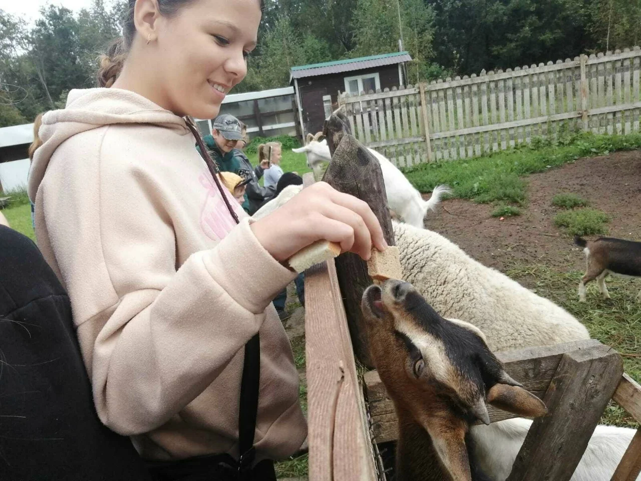 Фото Экоферма "Парк Зазеркалье" (Владимирская область) - развлечение в Москве | Досугатор