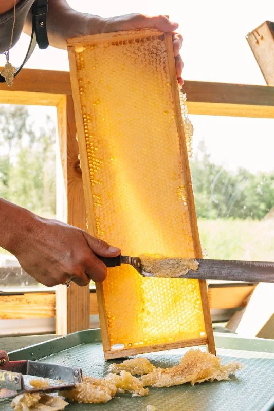 Фото Пасека Золино - развлечение в Москве | Досугатор