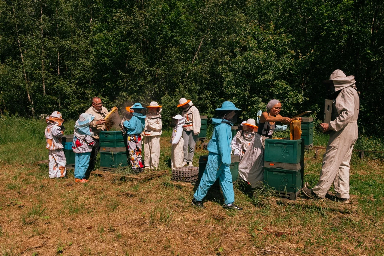 Фото Пасека Золино - развлечение в Москве | Досугатор