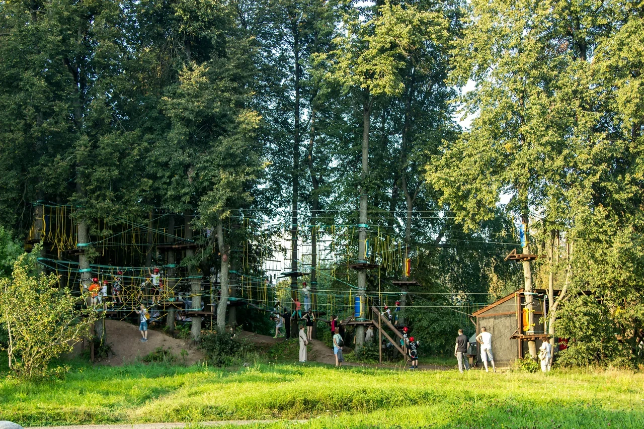 Фото Веревочный парк Крона - развлечение в Москве | Досугатор
