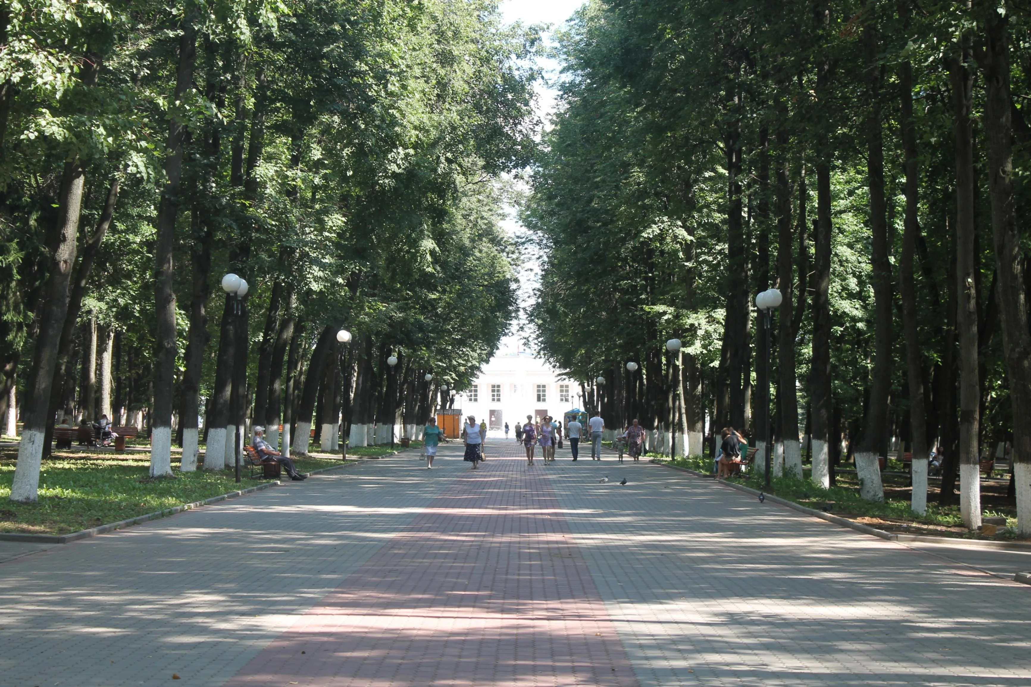 Фото Центральный парк культуры и отдыха (г. Владимир) - развлечение в Москве | Досугатор