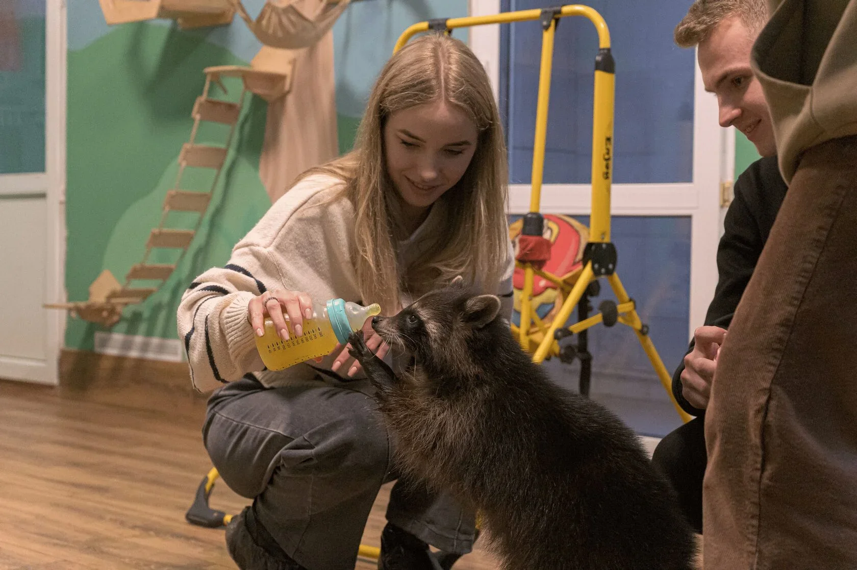 Фото Енотсбург - галерея ручных енотов - развлечение в Москве | Досугатор