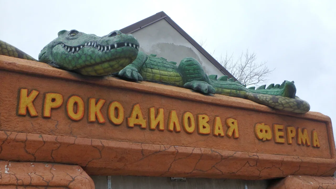 Фото Крокодиловая ферма ("Экодеревушка") - развлечение в Москве | Досугатор