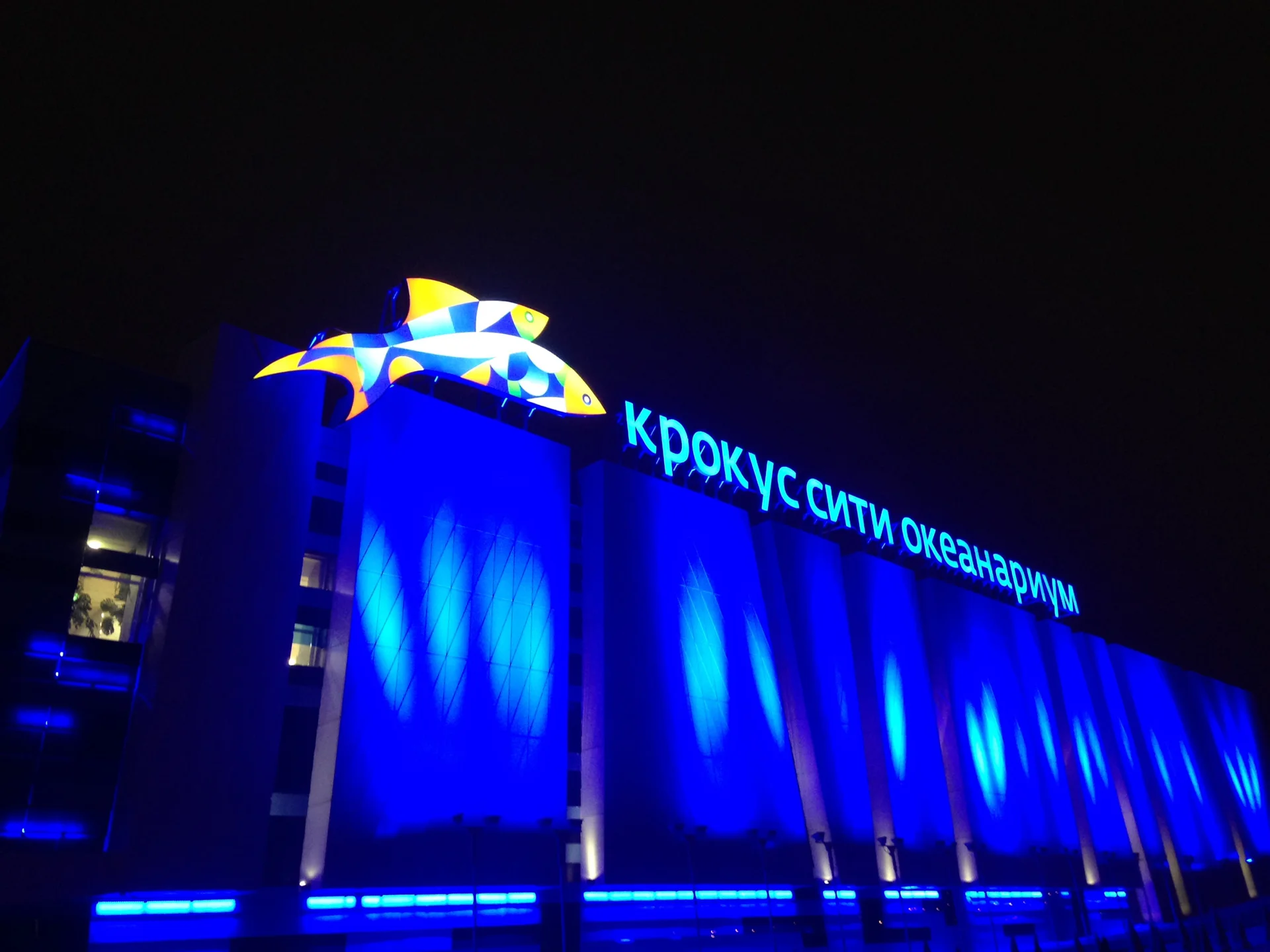 Фото Океанариум в Крокус Сити - развлечение в Москве | Досугатор