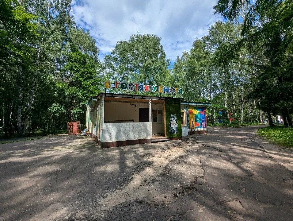 Фото Контактный зоопарк «В гостях у енота» в парке "Нефтяник" (г. Ярославль) - развлечение в Москве | Досугатор