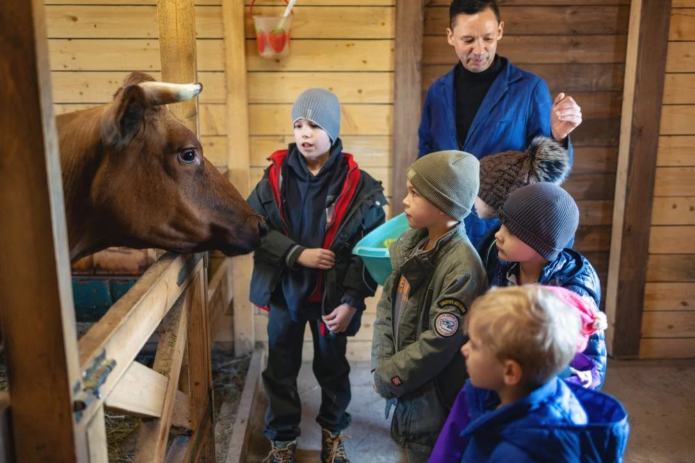 Фото Зооферма "Horseka Resort" - развлечение в Москве | Досугатор