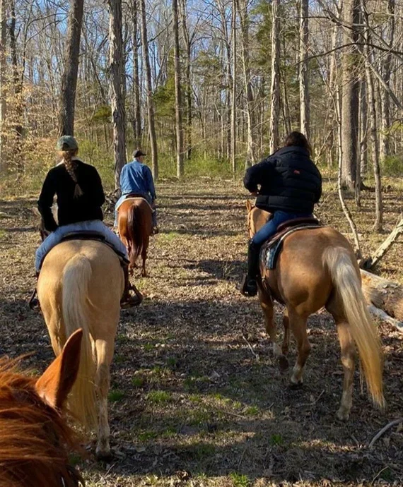 Фото Оленья ферма Бэмби лэнд - развлечение в Москве | Досугатор