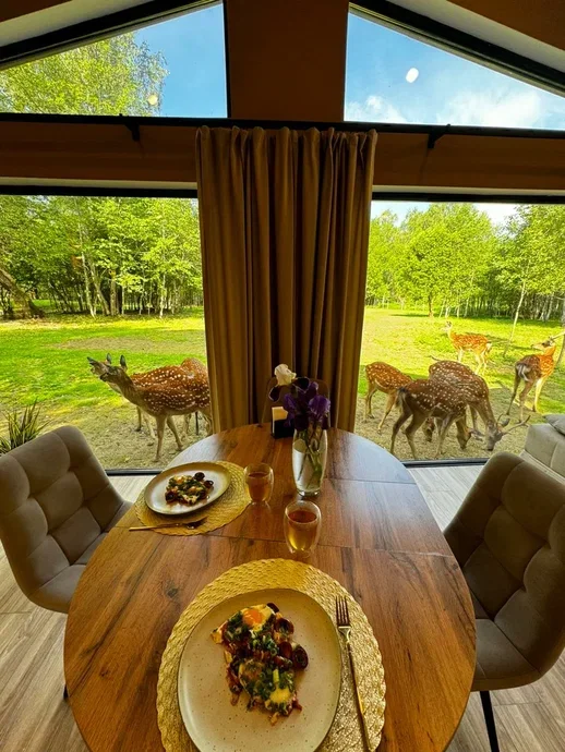 Фото Оленья ферма Бэмби лэнд - развлечение в Москве | Досугатор