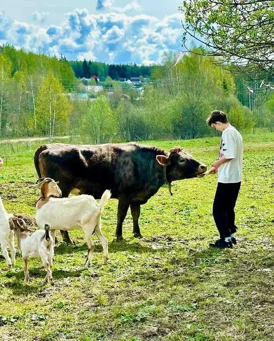 Фото Оленья ферма Бэмби лэнд - развлечение в Москве | Досугатор