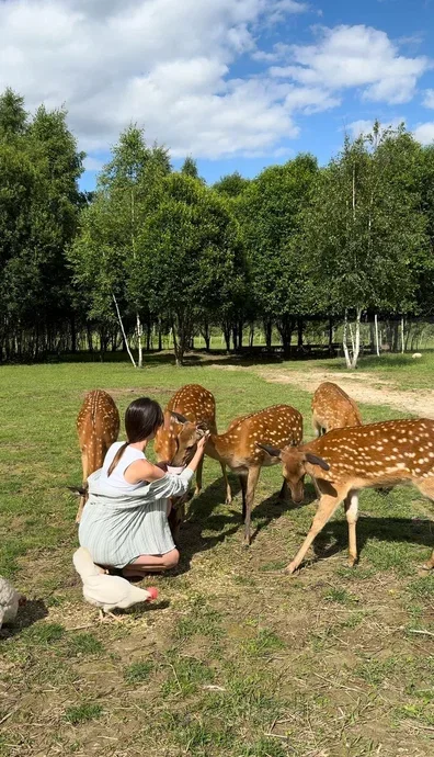 Фото Оленья ферма Бэмби лэнд - развлечение в Москве | Досугатор