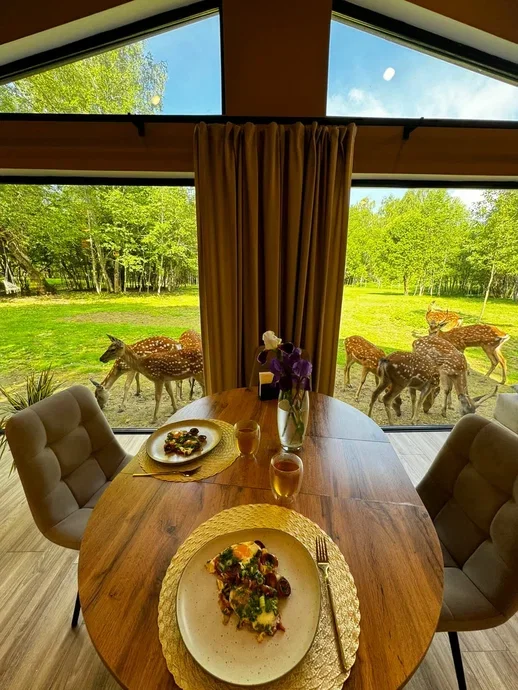 Фото Оленья ферма Бэмби лэнд - развлечение в Москве | Досугатор