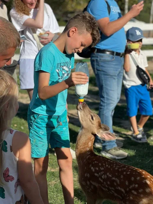 Фото Оленья ферма Бэмби лэнд - развлечение в Москве | Досугатор