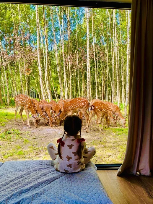 Фото Оленья ферма Бэмби лэнд - развлечение в Москве | Досугатор