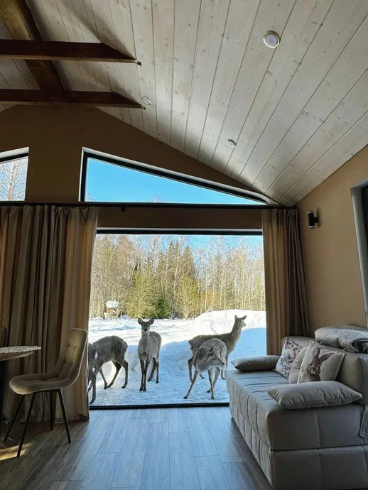 Фото Оленья ферма Бэмби лэнд - развлечение в Москве | Досугатор