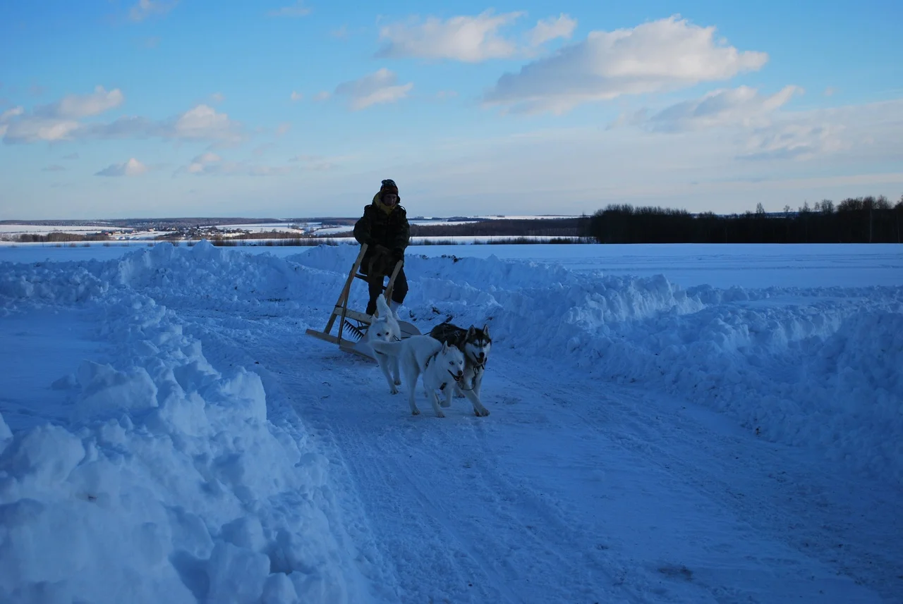 Фото Контактный зоопарк Святополе (г. Зарайск) - развлечение в Москве | Досугатор