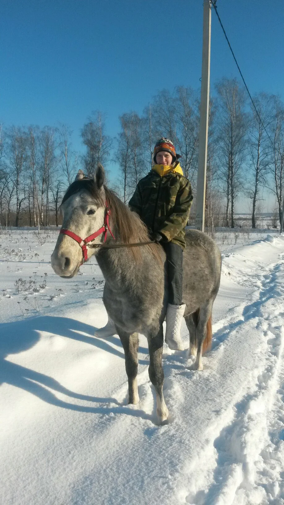 Фото Контактный зоопарк Святополе (г. Зарайск) - развлечение в Москве | Досугатор