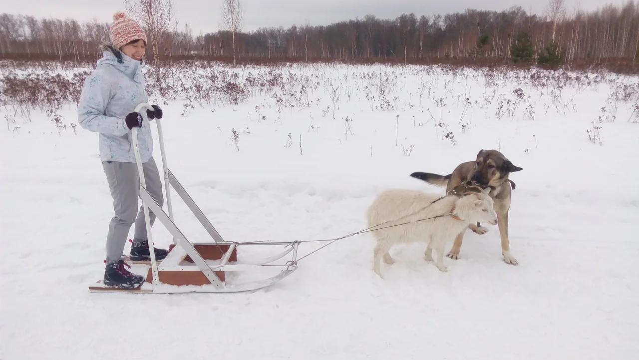 Фото Контактный зоопарк Святополе (г. Зарайск) - развлечение в Москве | Досугатор
