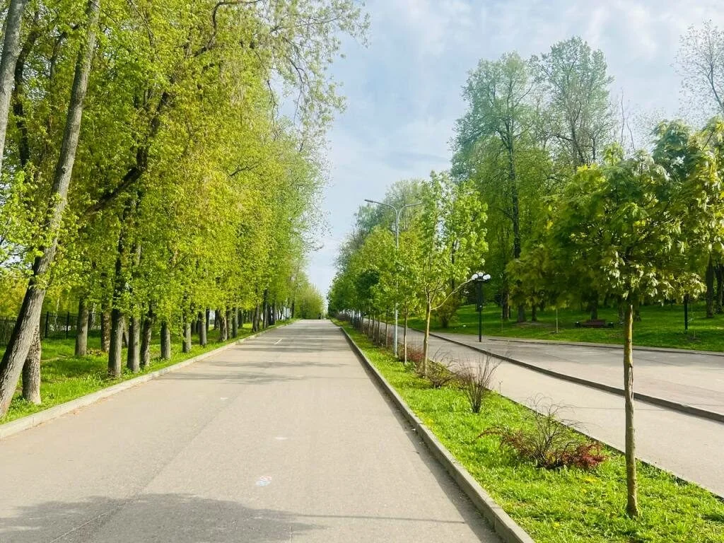Фото Муниципальный парк имени И. А. Лямина (г. Яхрома) - развлечение в Москве | Досугатор