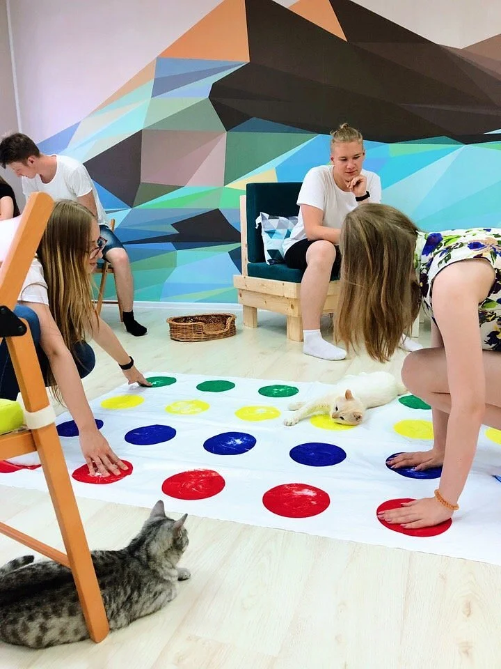 Фото Котокафе "Мао" (г. Кострома) - развлечение в Москве | Досугатор