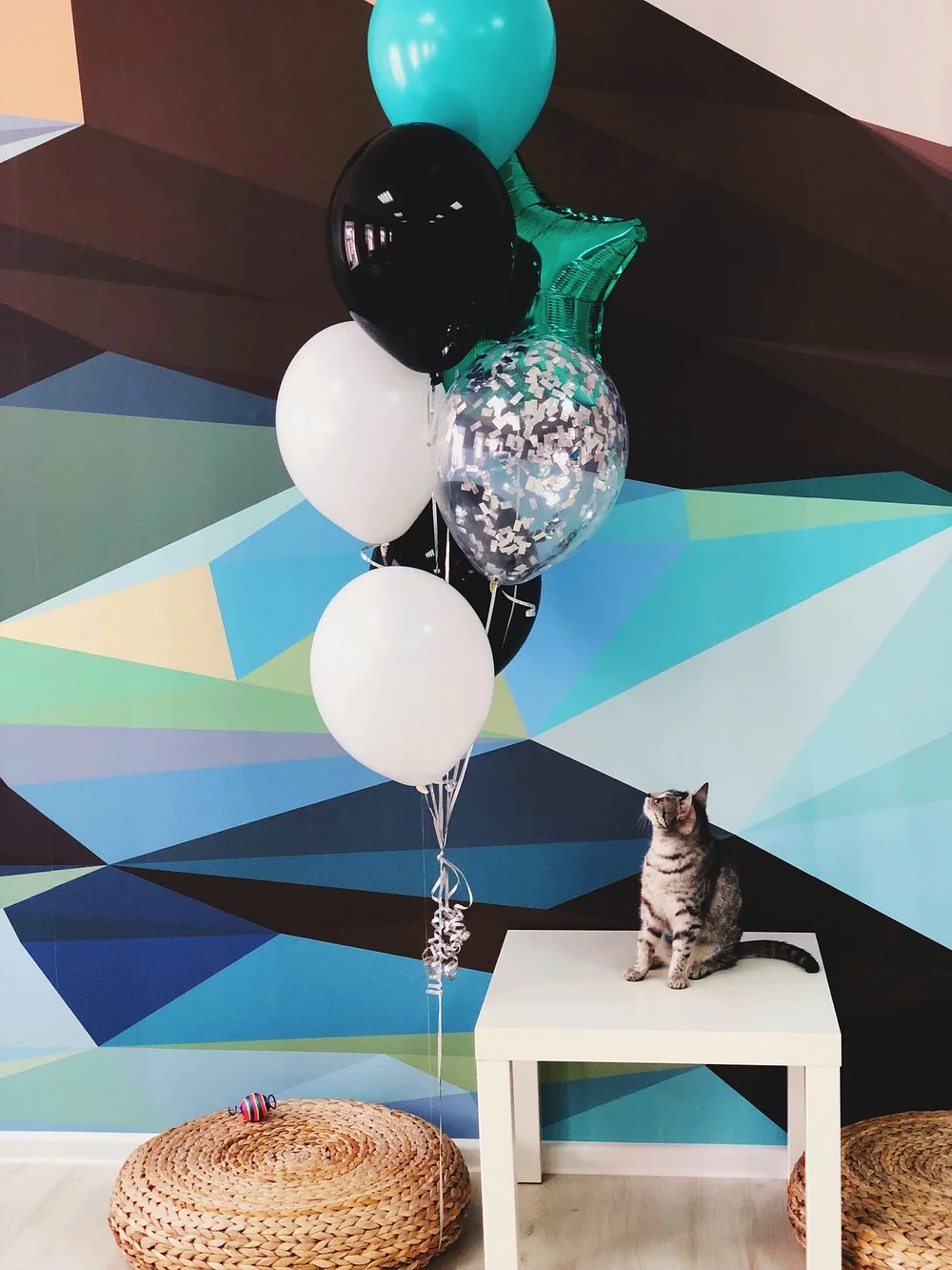 Фото Котокафе "Мао" (г. Кострома) - развлечение в Москве | Досугатор