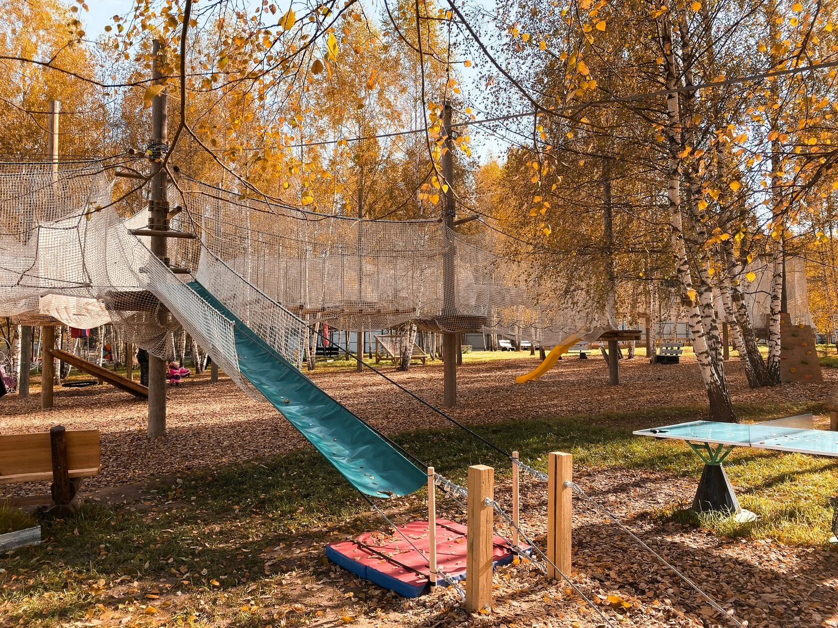 Фото Цыпарк - развлечение в Москве | Досугатор