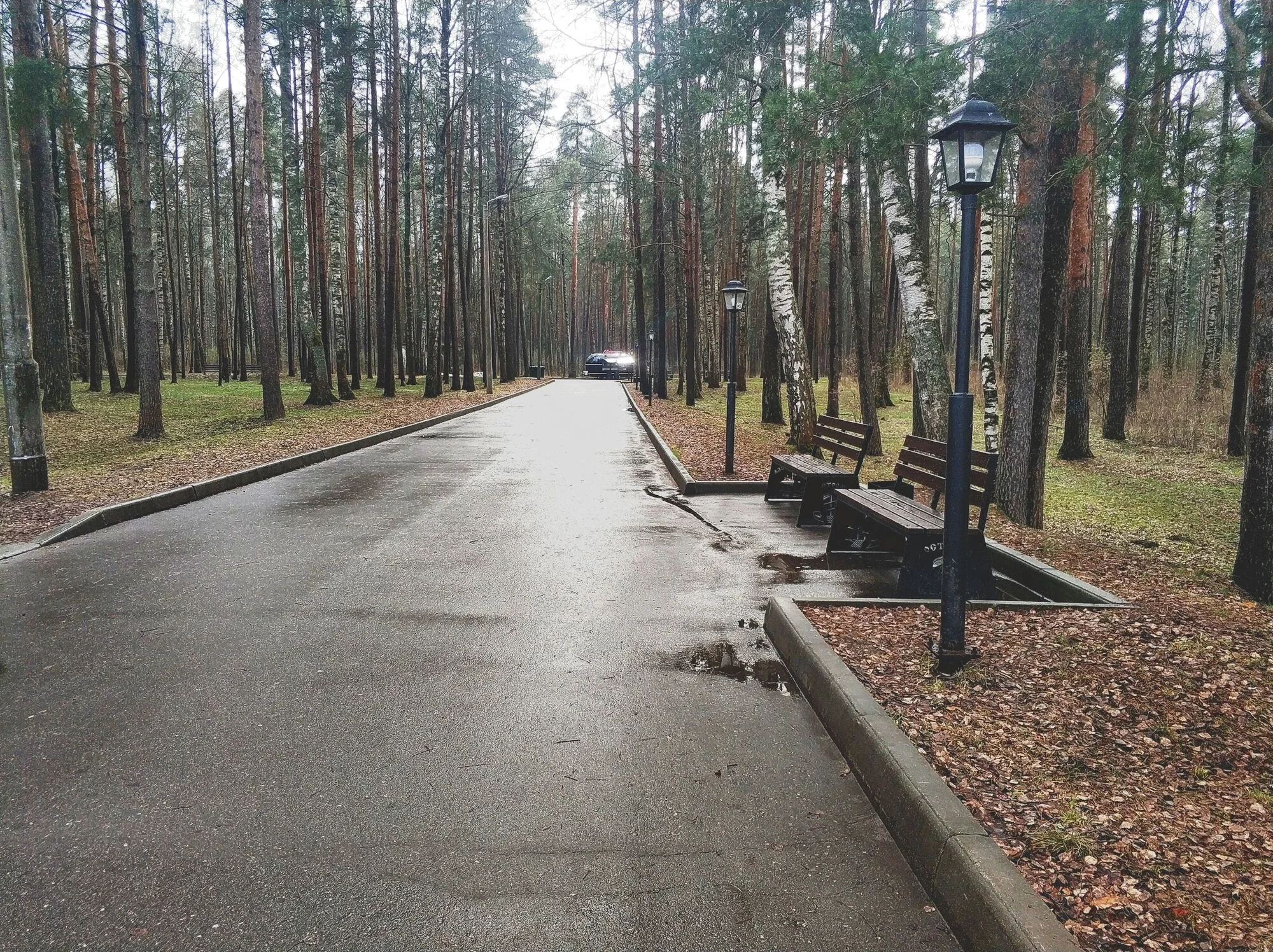 Фото Парк "Берендеевка" (г. Кострома) - развлечение в Москве | Досугатор