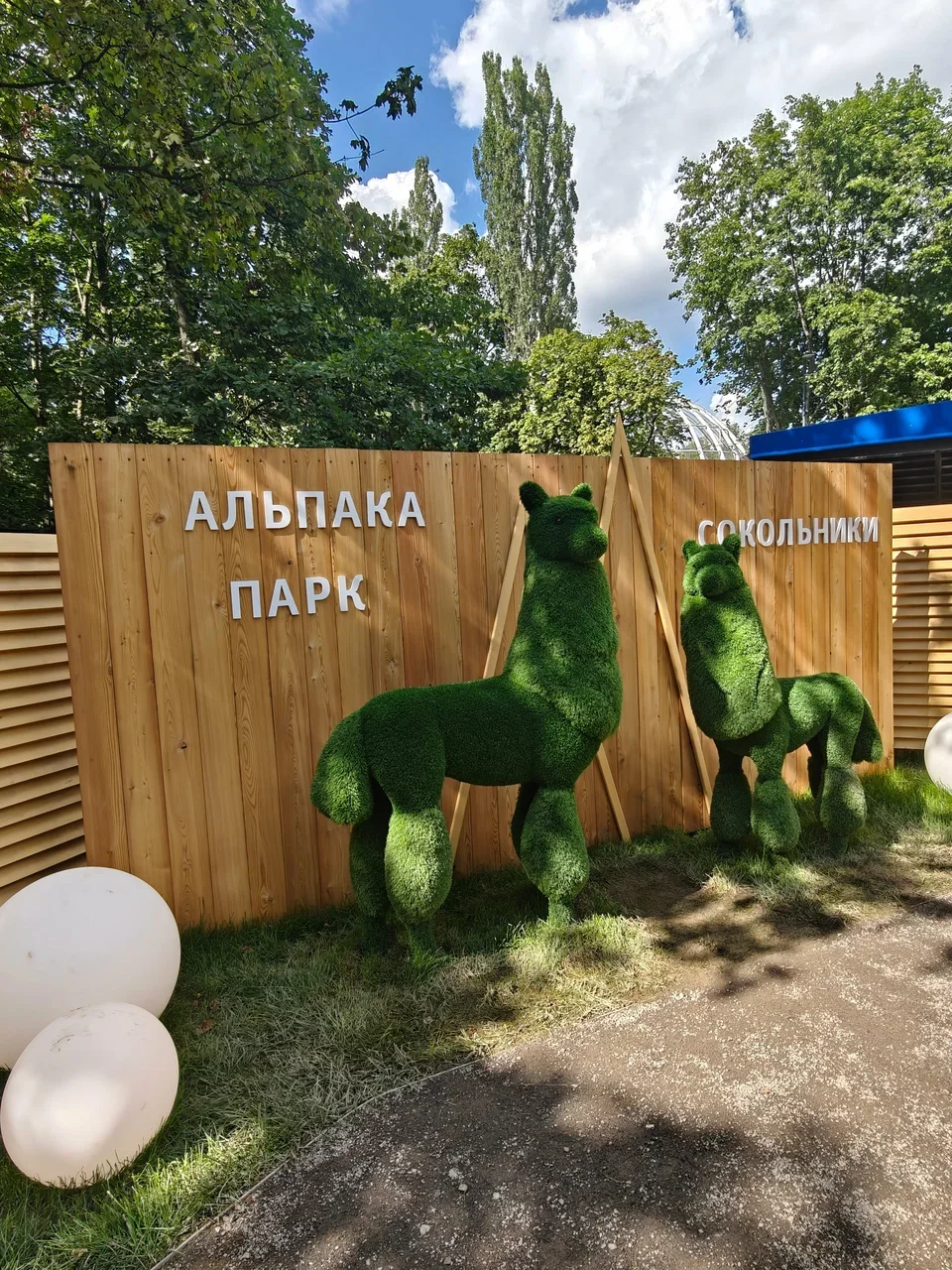 Фото "Альпака парк" в парке Сокольники - развлечение в Москве | Досугатор