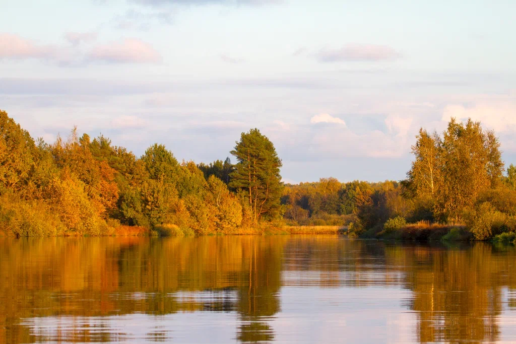 Фото Окский заповедник Брыкин Бор (г. Рязань) - развлечение в Москве | Досугатор