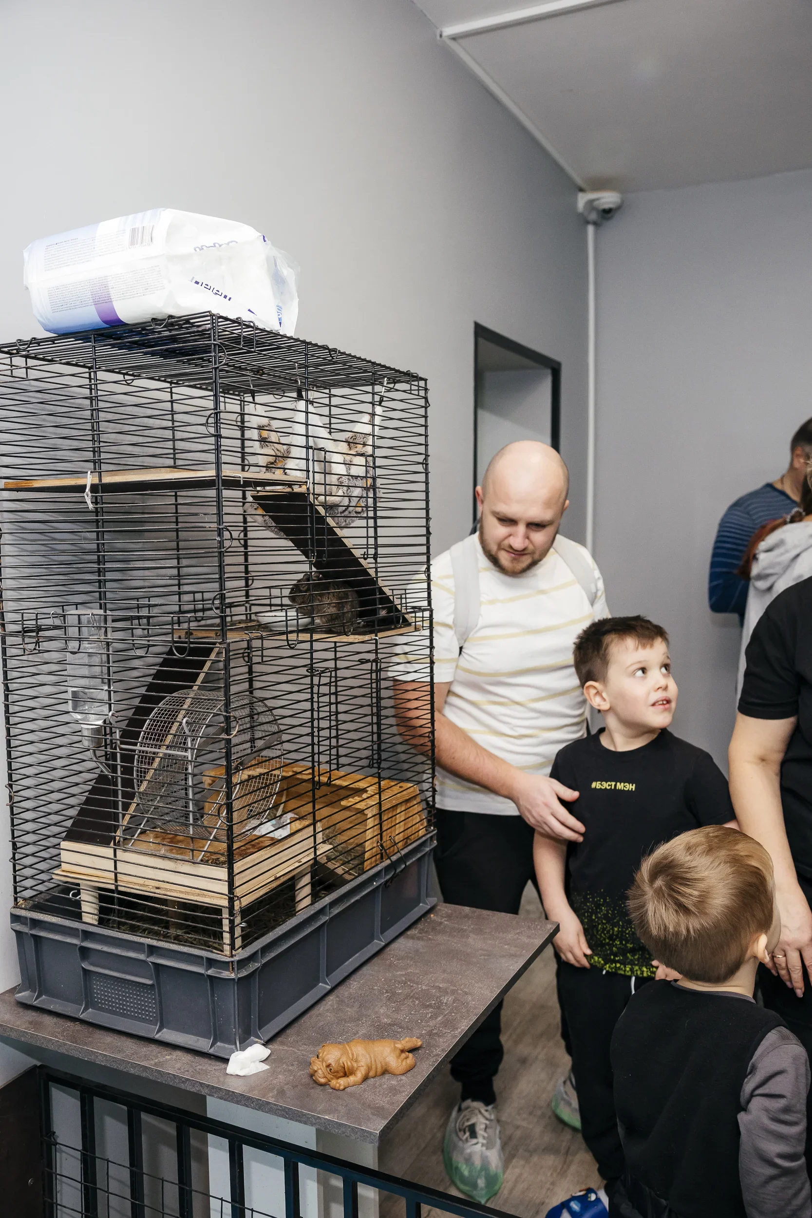 Фото Антикафе "MINIPIG" - развлечение в Москве | Досугатор