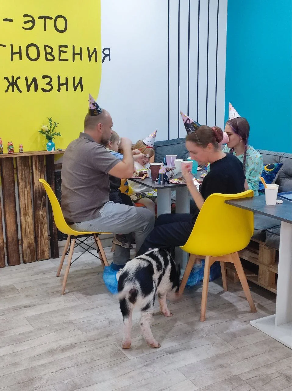 Фото Антикафе "MINIPIG" - развлечение в Москве | Досугатор