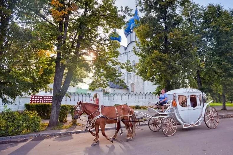 Фото Катание на лошадях в Суздале - развлечение в Москве | Досугатор