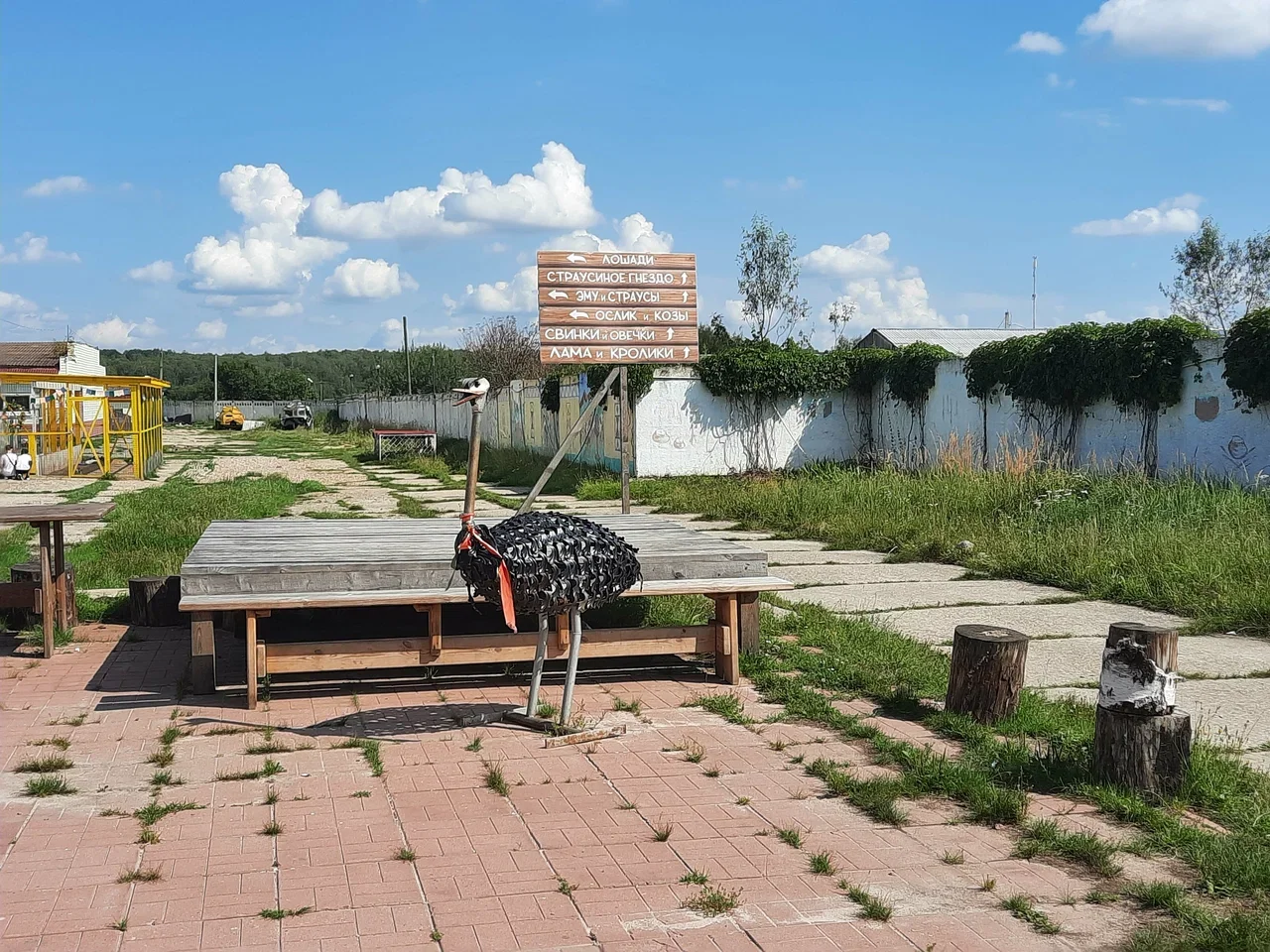 Фото Ферма "Русский страус" - развлечение в Москве | Досугатор