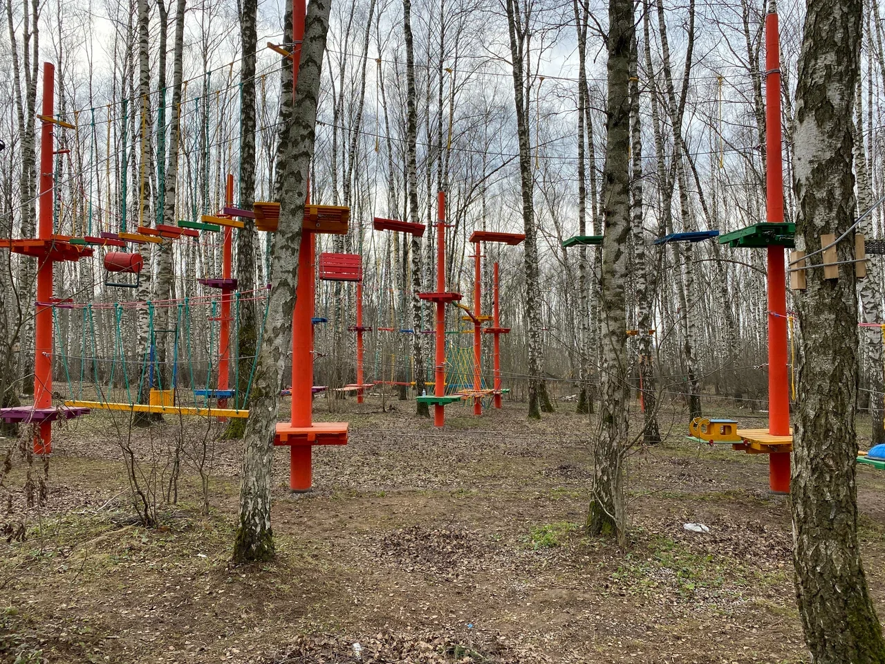Фото Веревочный парк в Домодедово Городской лес - развлечение в Москве | Досугатор