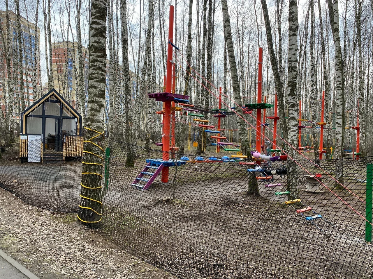 Фото Веревочный парк в Домодедово Городской лес - развлечение в Москве | Досугатор