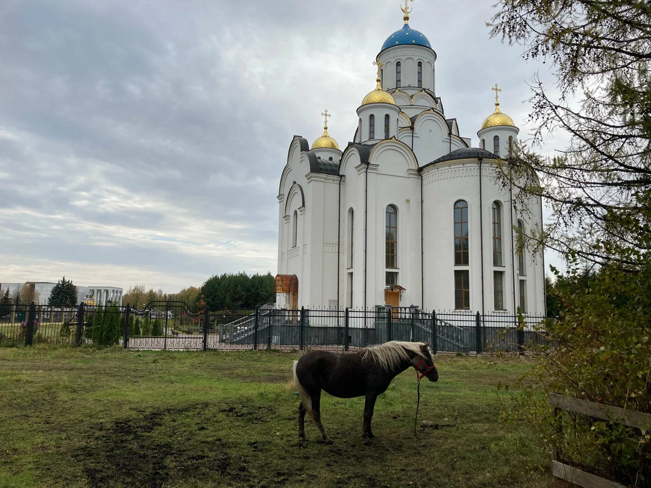 Фото Музей-заповедник "Горки Ленинские" - развлечение в Москве | Досугатор
