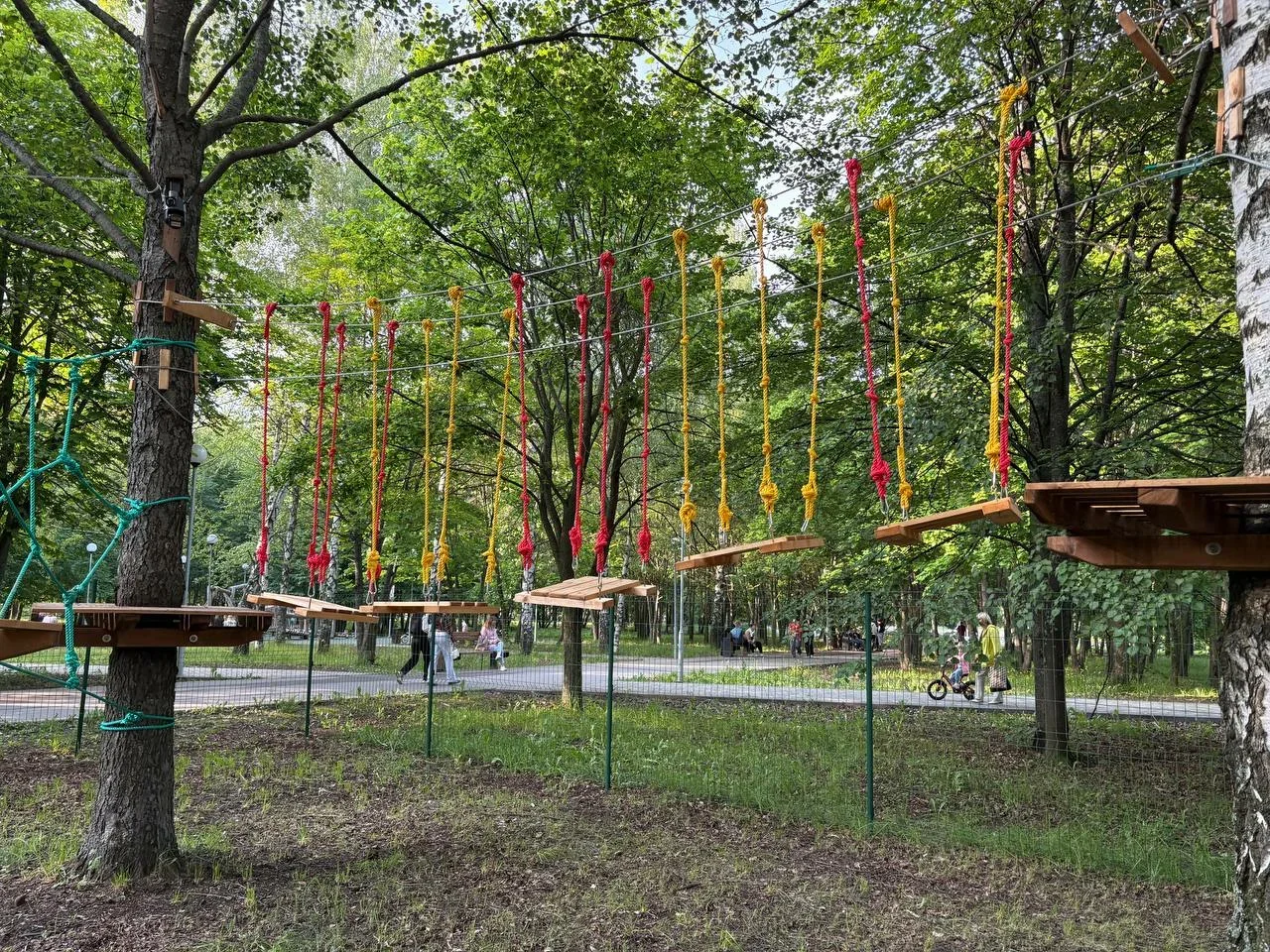 Фото Веревочный парк "Павиан" (г. Владимир) - развлечение в Москве | Досугатор