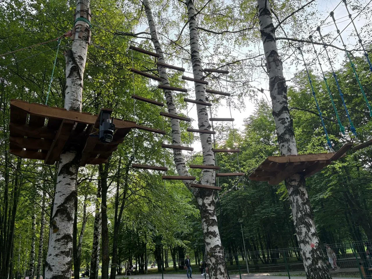 Фото Веревочный парк "Павиан" (г. Владимир) - развлечение в Москве | Досугатор