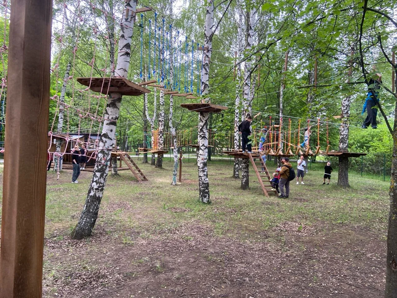 Фото Веревочный парк "Павиан" (г. Владимир) - развлечение в Москве | Досугатор