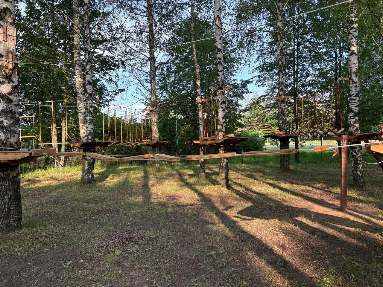 Фото Веревочный парк "Павиан" (г. Владимир) - развлечение в Москве | Досугатор