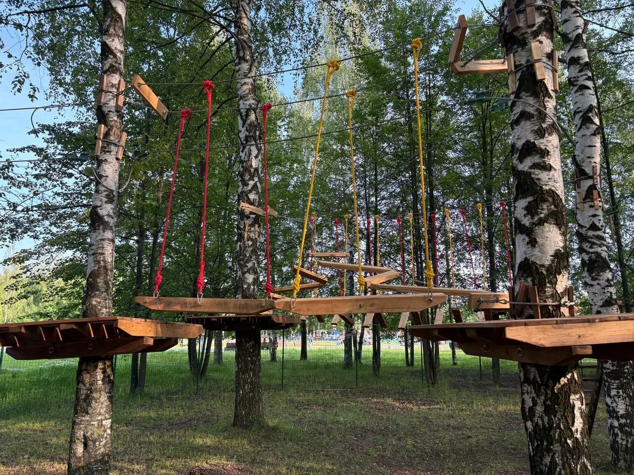 Фото Веревочный парк "Павиан" (г. Владимир) - развлечение в Москве | Досугатор