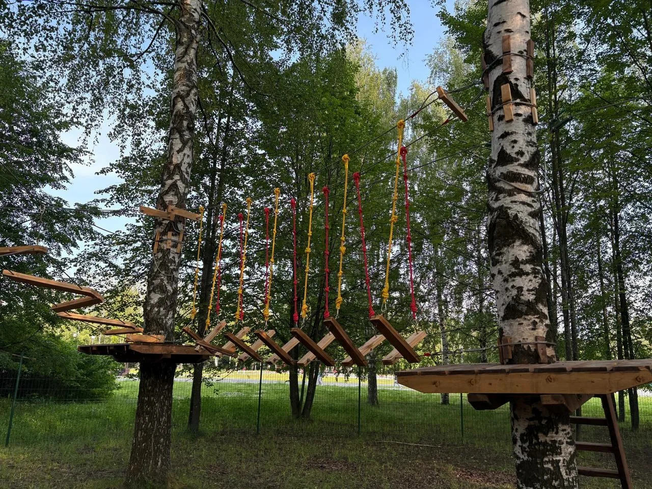 Фото Веревочный парк "Павиан" (г. Владимир) - развлечение в Москве | Досугатор