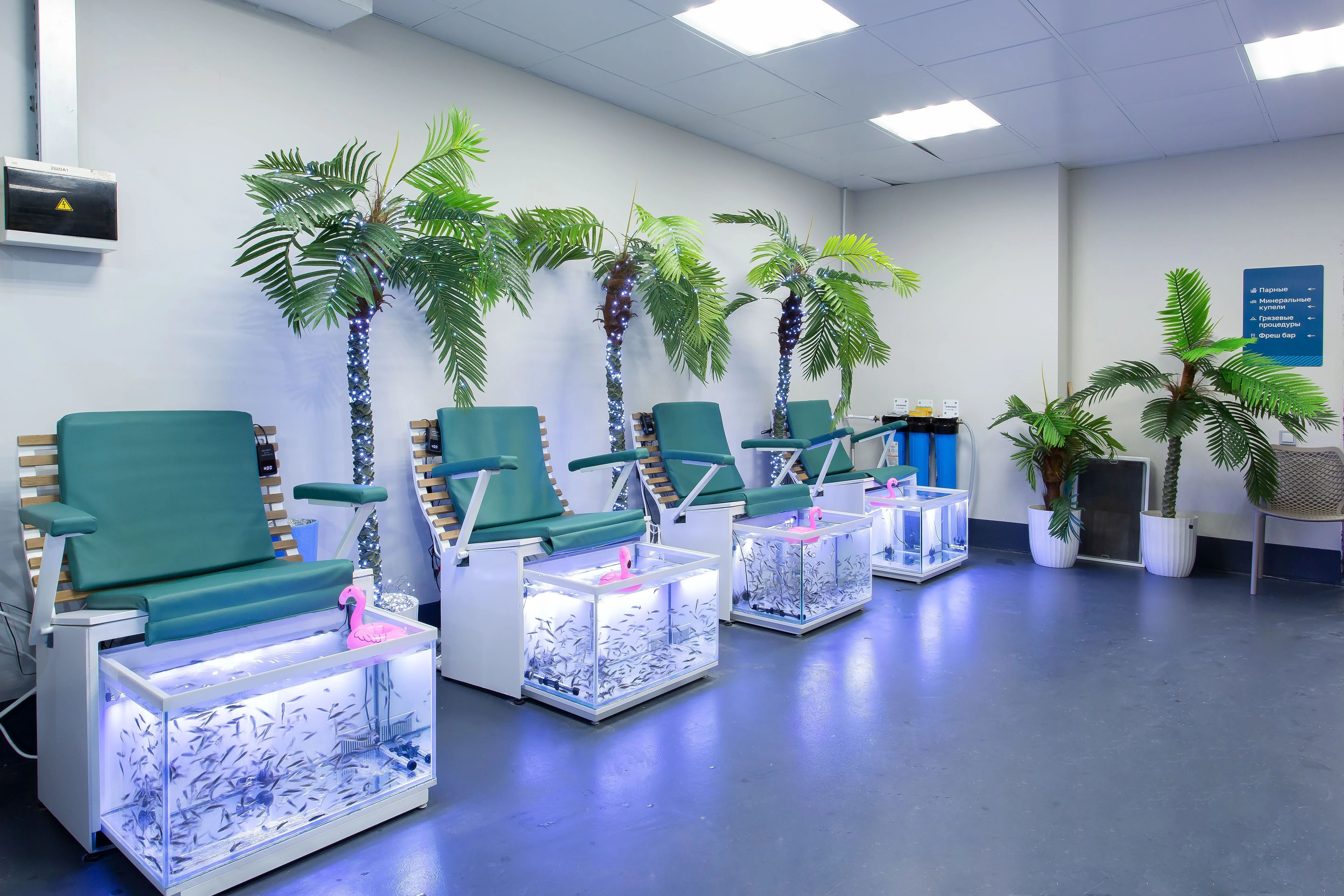 Фото Термальный комплекс "Termoland" (Речной) - Бассейны в Москве | Досугатор