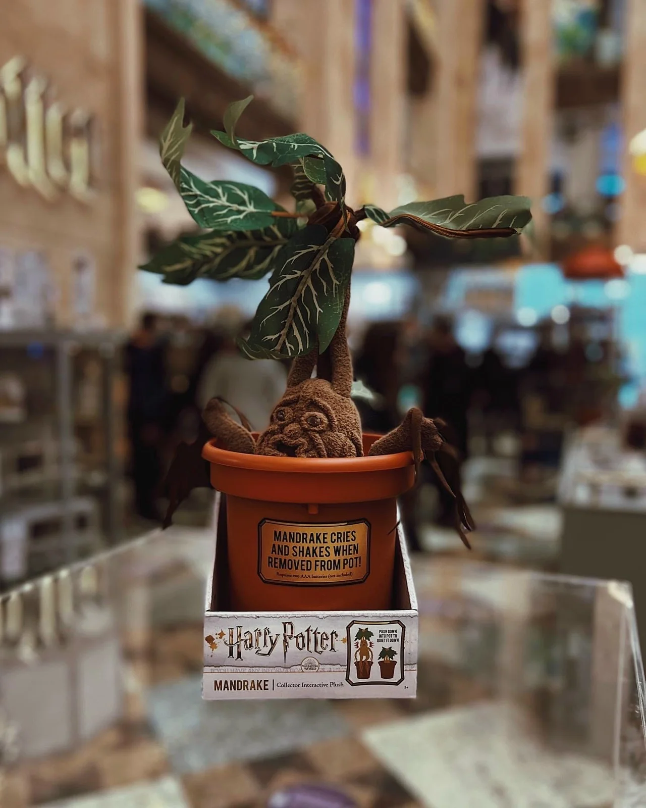 Фото Магазин Гарри Поттера в ЦДМ и стена 9¾ - Интересное в Москве | Досугатор