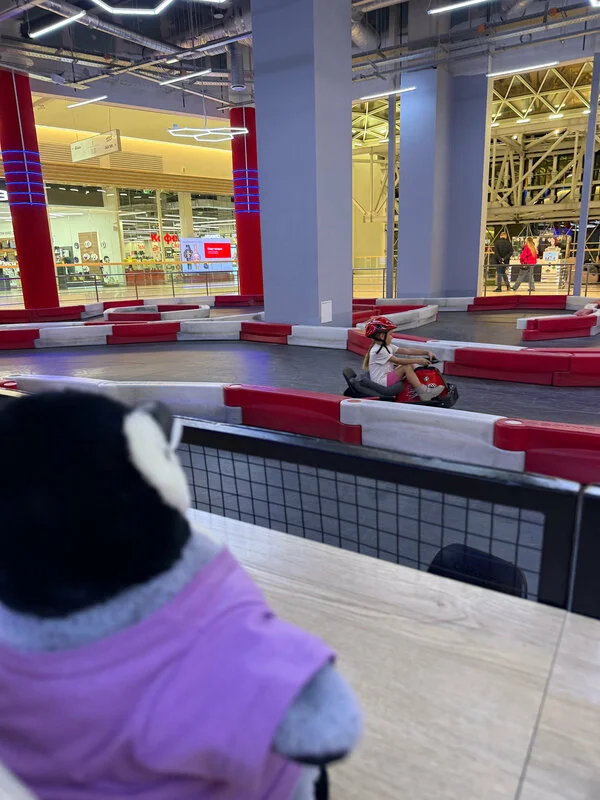 Фото Crazy Cart ТРЦ "Веер Молл" Екатеринбург - Аттракционы крытые в Москве | Досугатор