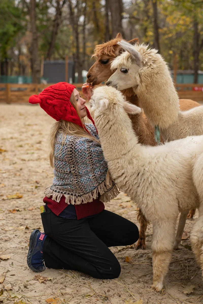 Фото Парк альпак Пача Мама в Домодедово - Парки в Москве | Досугатор