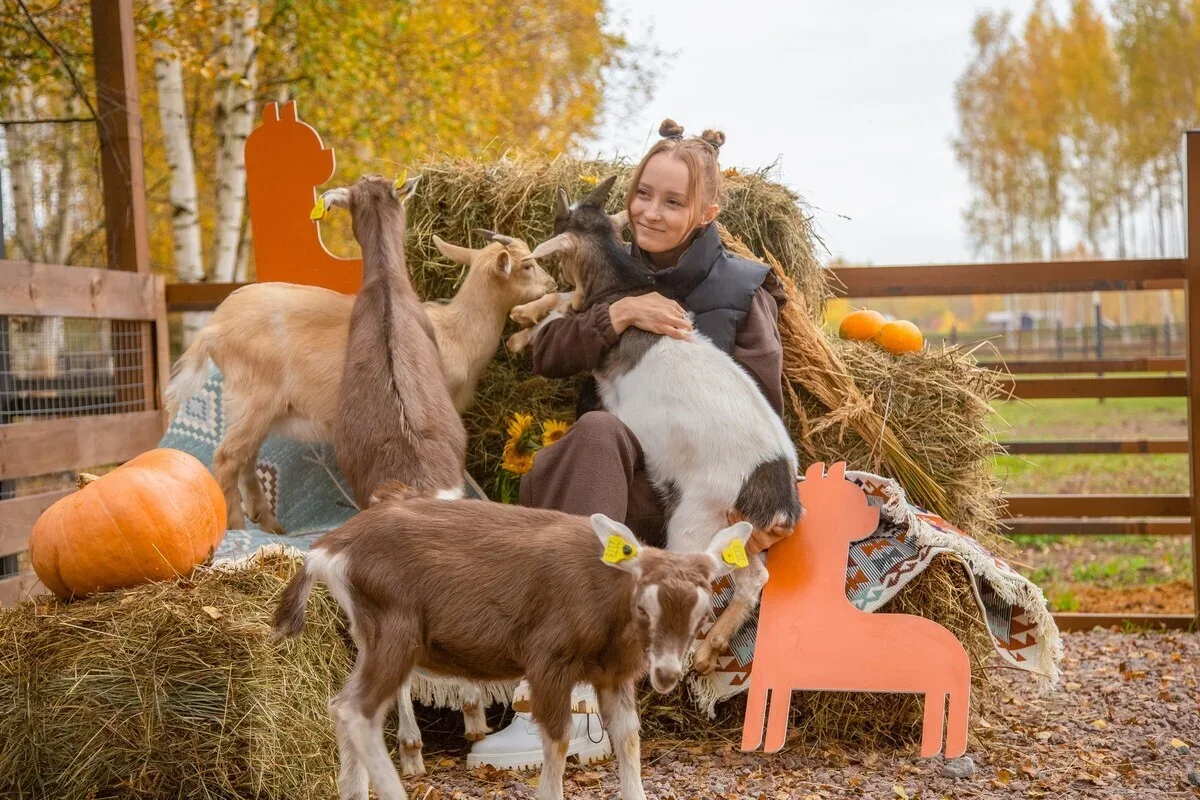 Фото Парк альпак Пача Мама в Домодедово - Парки в Москве | Досугатор