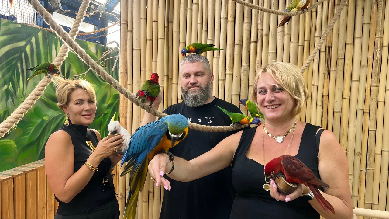 Фото 101 попугай - контактный зоопарк с попугаями - Антикафе с животными в Москве | Досугатор