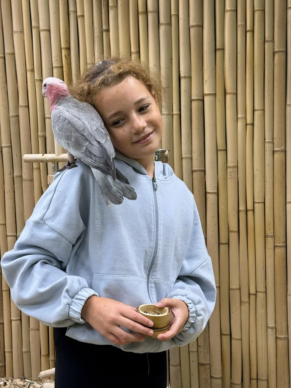 Фото 101 попугай - контактный зоопарк с попугаями - Антикафе с животными в Москве | Досугатор