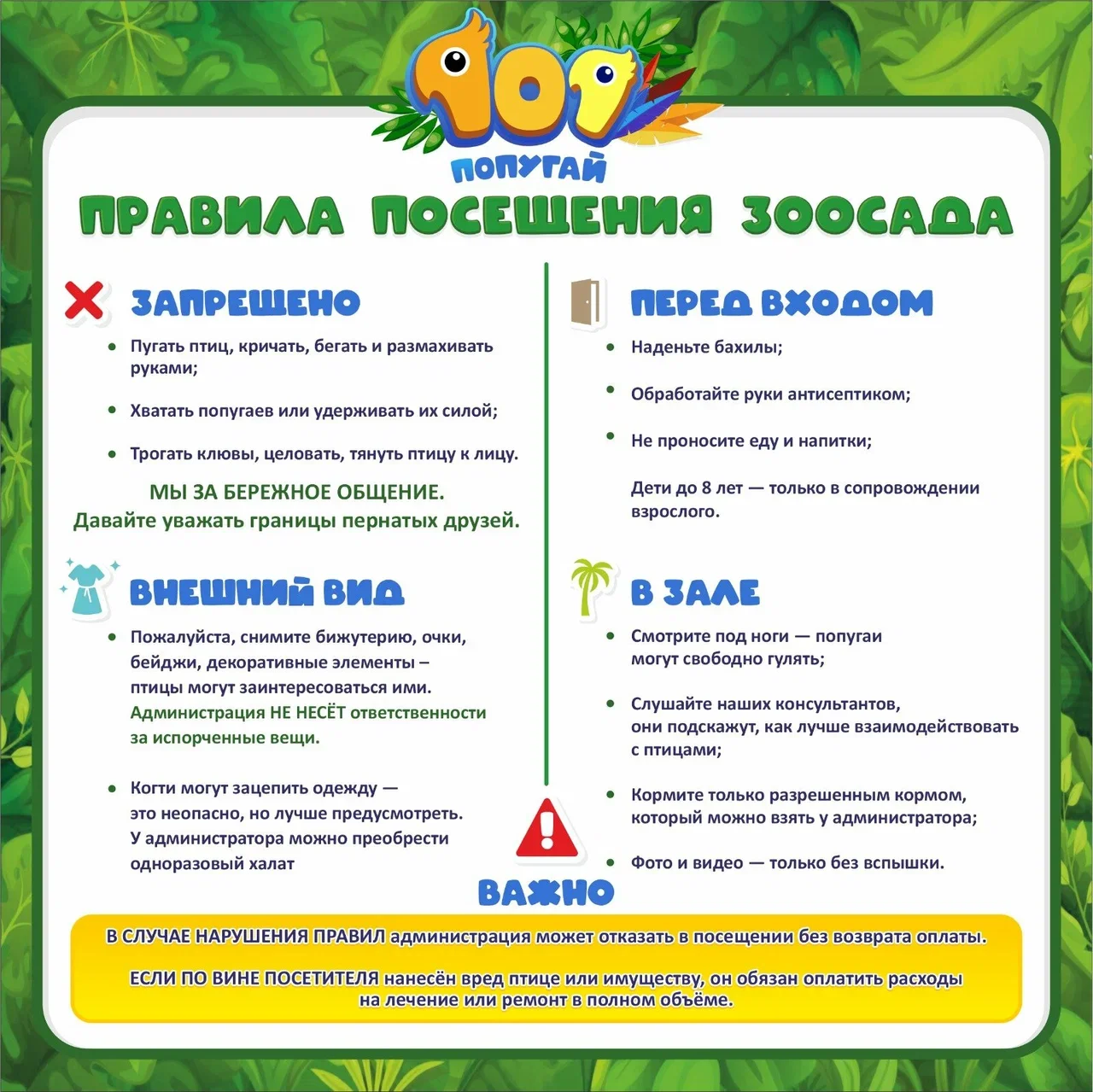 Фото 101 попугай - контактный зоопарк с попугаями - Антикафе с животными в Москве | Досугатор