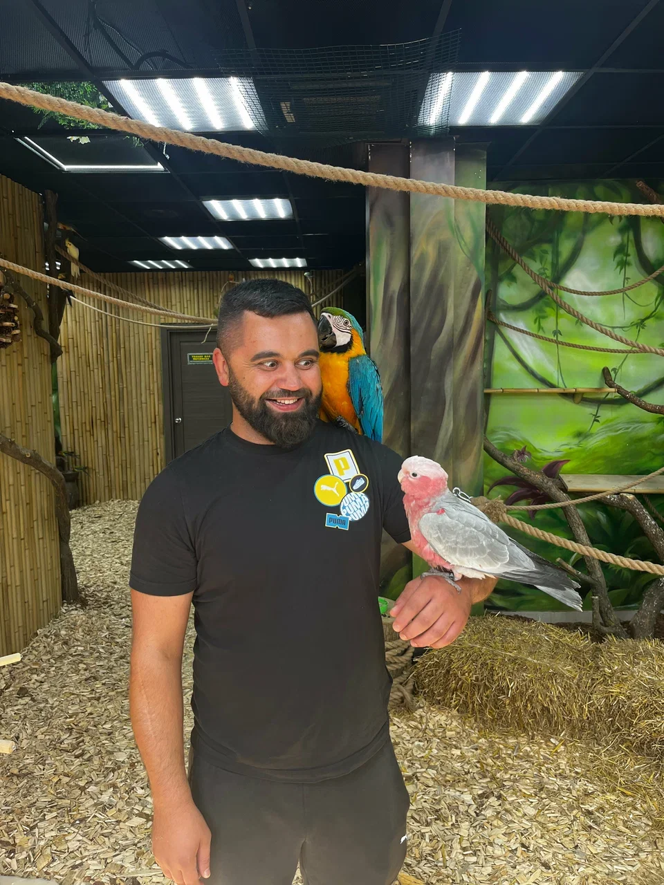 Фото 101 попугай - контактный зоопарк с попугаями - Антикафе с животными в Москве | Досугатор